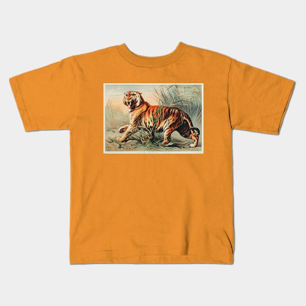 19th century Royal Bengal tiger chromolithograph Kids T-Shirt by Veiovis